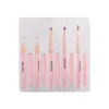 Expert Brushes Aurora